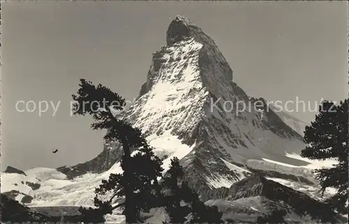 Matterhorn VS Riffelalp Zermatt Kat. Matterhorn