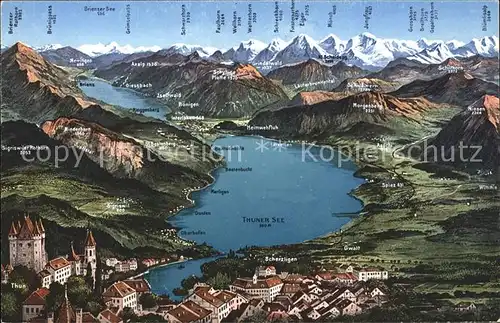 Thunersee Relief Panoramakarte Kat. Thun