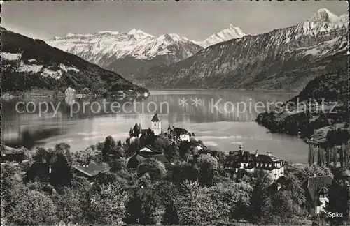 Spiez Thunersee BE Panorama / Spiez /Bz. Niedersimmental