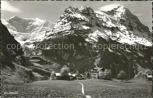 Grindelwald Panorama Kat. Grindelwald