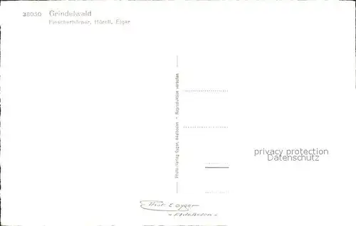 Grindelwald mit Fiescherhoerner Hoernli Eiger Kat. Grindelwald