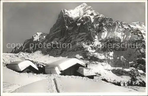 Grindelwald Herrenbuehl mit Wetterhorn Kat. Grindelwald