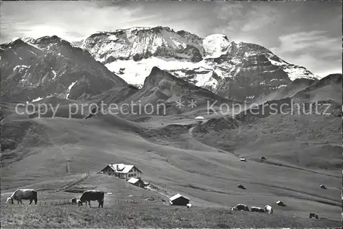 Adelboden Hahnenmoos Pass mit Wildstrubel und Regenbolshorn Kat. Adelboden