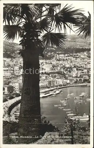 Monaco Port et la Condamine Palmier Kat. Monaco