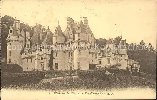 Usse Rigny Chateau / Rigny-Usse /Arrond. de Chinon