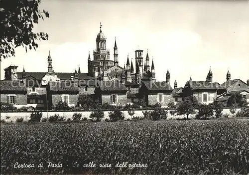 Certosa Di Pavia Le celle  Kat. Italien