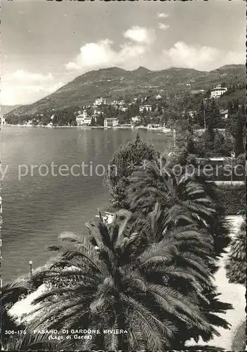 Fasano Lago di Garda  Kat. Italien