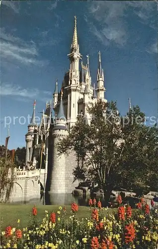 Disney World Cinderella Castle  Kat. Lake Buena Vista