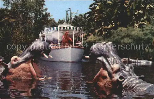 Disneyland Orlando Jungle Cruise Nilpferde Boot Kat. Orlando