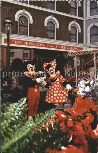 Disneyland California The Flower of his Eye Mickey Mouse Minnie  Kat. Anaheim