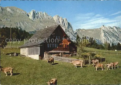 Gamserberg Bergheimet mit Alpstein Mutschen Kreuzberge Saxerluecke und Ambos / Gams /Bz. Werdenberg