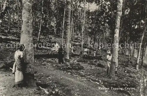 Ceylon Sri Lanka Rubber Tapping Kat. 