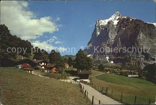 Grindelwald Partie am Terrassenweg mit Wetterhorn Kat. Grindelwald