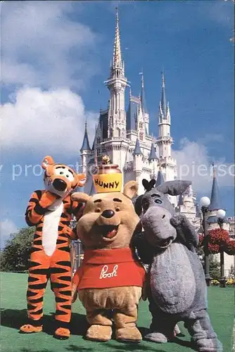 Walt Disney World Winnie Pooh Tigger I Ah Cinderella Castle Kat. Lake Buena Vista