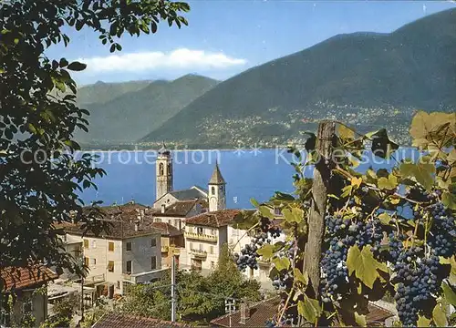 Vira Gambarogno Dorfpartie mit See / Vira Gambarogno /Bz. Locarno