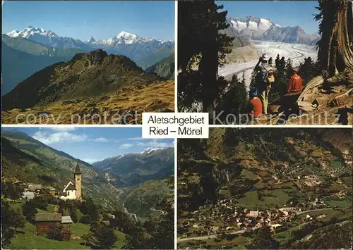 Ried-Moerel Panorama Ortsblick Aletschwald Gr Aletschgletscher Totalansicht / Ried-Moerel /Bz. Raron