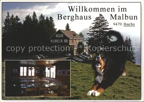 Buchs SG Berghaus Malbun Bernhardiner Simi / Buchs /Bz. Werdenberg