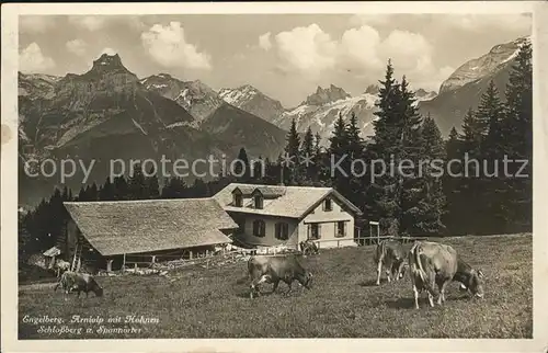 Engelberg OW Arnialp mit Hahnen Schlossberg u. Spannoerter Kat. Engelberg