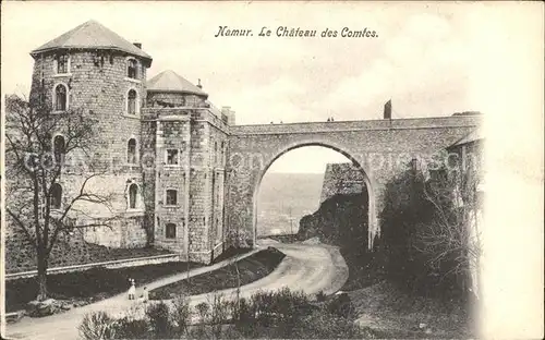 Namur Wallonie Chateau des Comtes Kat. 