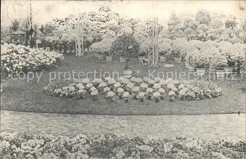 Gand Belgien Exposition de 1913 Floralies Gantoises Fleurs Kat. Gent Flandern