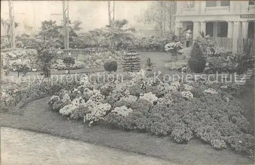 Gand Belgien Exposition de 1913 Floralies Gantoises Fleurs Kat. Gent Flandern