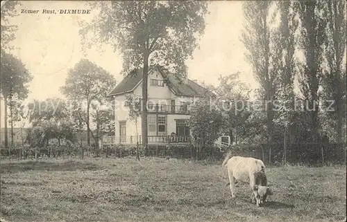 Dixmude Zomer Rust Viehweide Kuh Kat. 