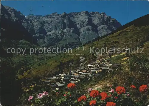 Albinen VS mit Daubenhorn Blumenwiese Kat. Albinen