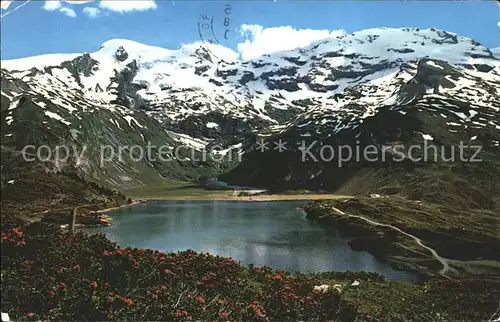 Engelberg OW Tr?bsee mit Titlis Kat. Engelberg