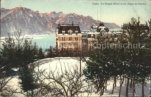 Caux VD Le Grand Hotel et les Alpes de Savoie Kat. Caux