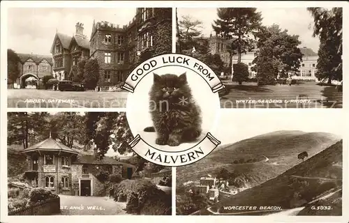 Malvern UK Abbey Gateway Winter Gardens Priory St Anns Well Worcester Beacon Cat Valentine s Post Card Kat. United Kingdom