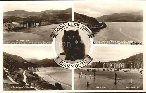 Barmouth Viaduct Coes Faen Estuary Dolgelley Road Beach Cat Valentine s Post Card Kat. United Kingdom