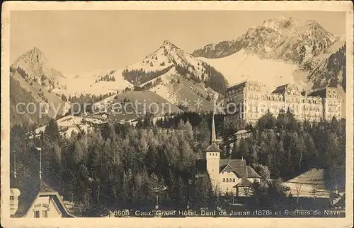 Caux VD Grand Hotel Dent de Jaman et Rochers de Naye Kat. Caux