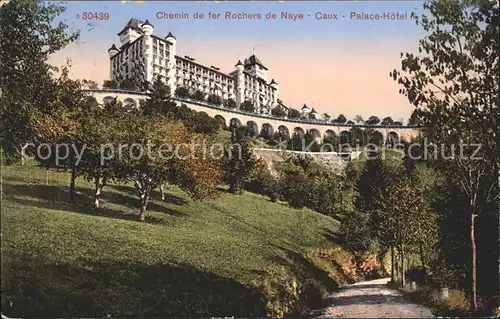 Caux VD Chemin de fer Rochers de Naye Palace Hotel Kat. Caux