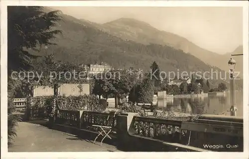 Weggis LU mit Vierwaldstaettersee und Quai Kat. Weggis