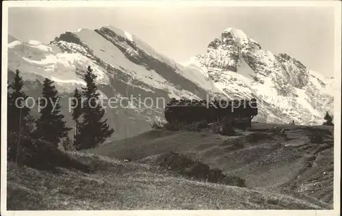 Muerren BE Gimmelen Tschingelsplitz Gspaltenhorn Kat. Muerren