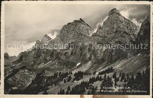 Wallenstadt Alp Tschingla mit Churfirsten / Walenstadt /Bz. Sarganserland