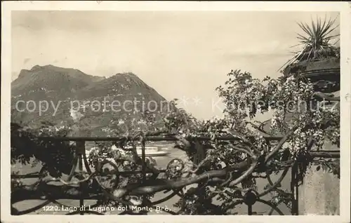 Lago di Lugano e Monte Bre Kat. Italien