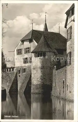 Hallwilersee Schloss Hallwil Kat. Hallwil