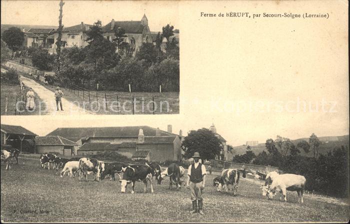 Solgne Ferme de Berupt Vaches / Solgne /Arrond. de MetzCampagne Nr