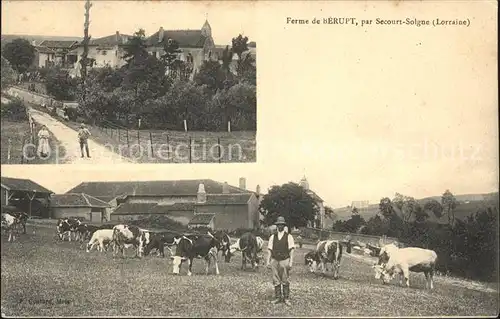 Solgne Ferme de Berupt Vaches / Solgne /Arrond. de Metz-Campagne