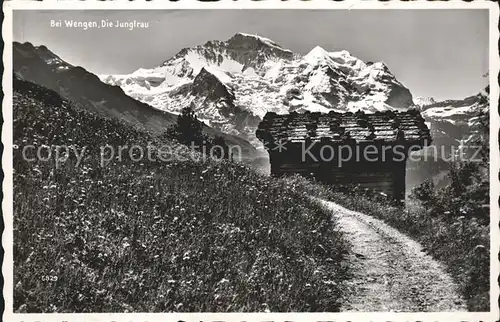 Wengen BE Jungfrau Kat. Wengen