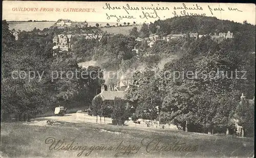 Guildown View from St Catherine s