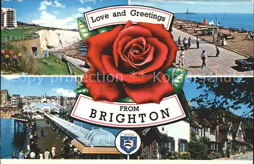 Brighton Hove Beach Pier Rose Wappen / Brighton and Hove /Brighton and Hove