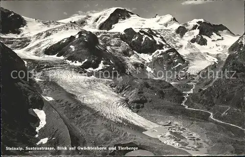 Sustenstrasse mit Steinalp Gwaechtenhorn und Tierberge Kat. Susten