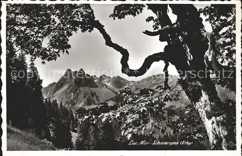 Lac Noir Schwarzsee FR Panorama