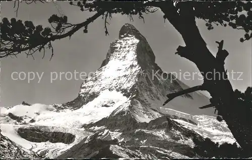 Zermatt VS Rifelalp Matterhorn Kat. Zermatt