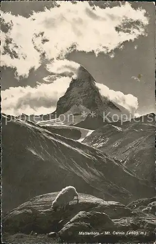 Matterhorn VS Mt. Cervin Kat. Matterhorn