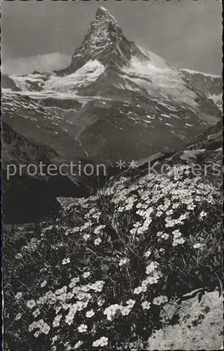 Zermatt VS Blumenteppich Matterhorn Kat. Zermatt