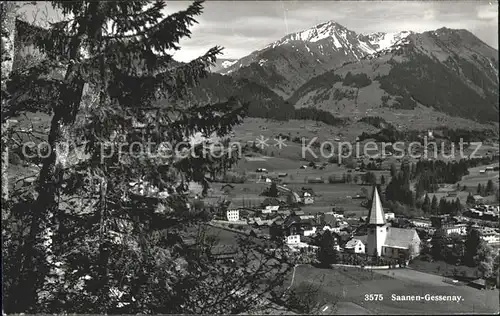 Saanen Gessenay Ortsblick mit Alpen