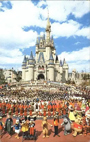 Disney World Cinderella Castle Mickey Mouse Donald Duck Winnie Pooh  Kat. Lake Buena Vista
